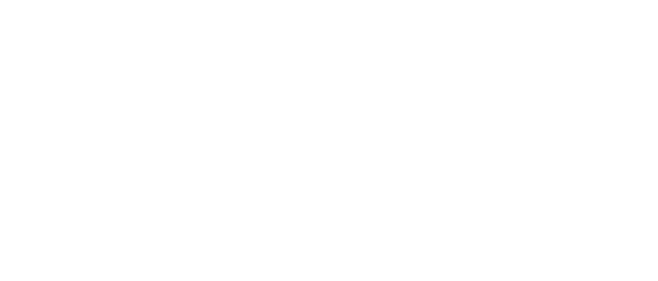 Detailing Summit